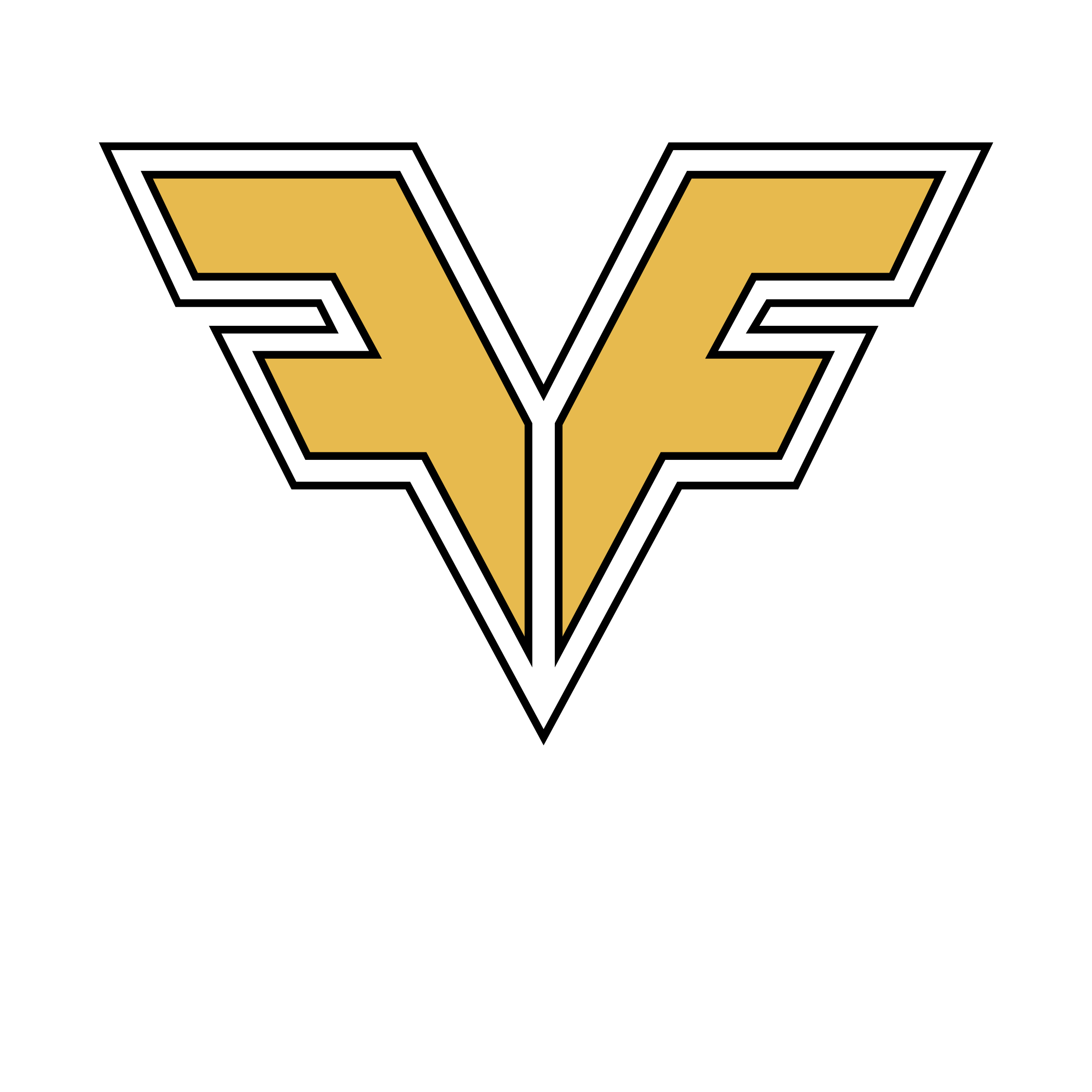 Fieldfitness square2